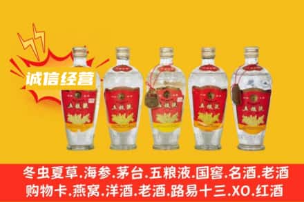 朝阳回收老五粮液